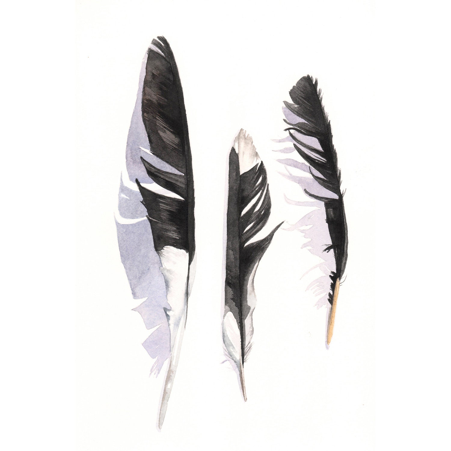 Magpie Feather painting Bird art wildlife nature-  print of watercolor painting A4 print