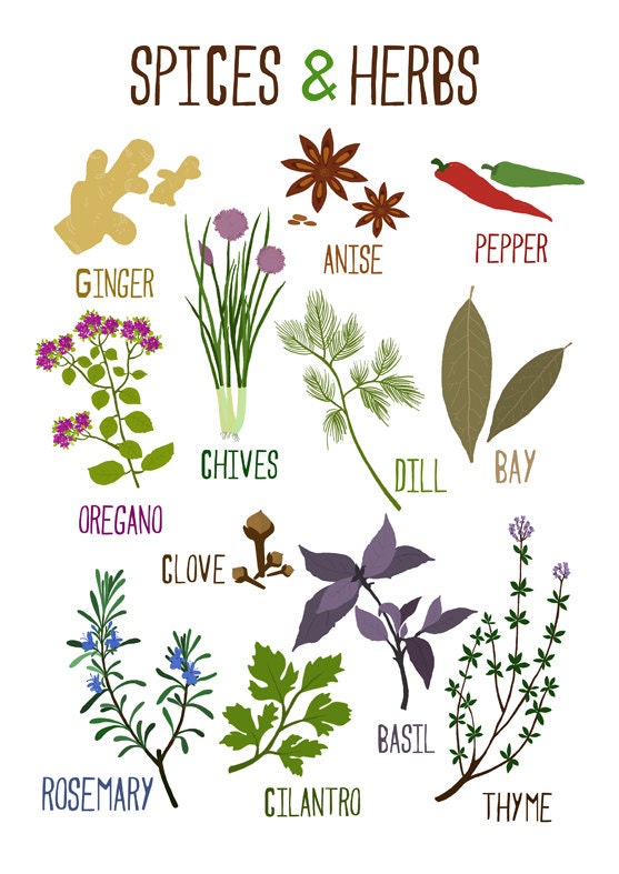 Spices & Herbs