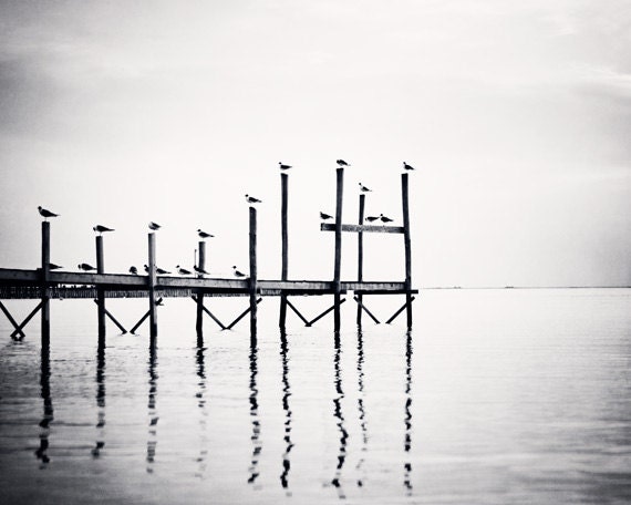 Black and White Photography - landscape pier birds grey gray - monochrome art prints - fine art monochromatic photo - 8x10 Photograph