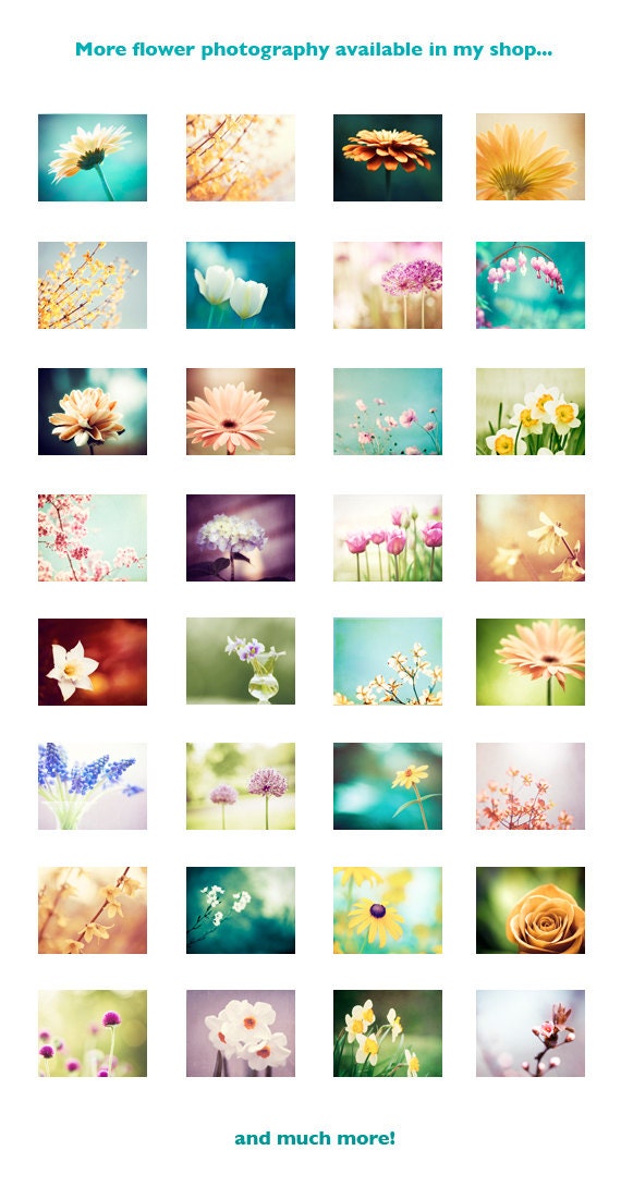 Flower Photography - orange wall art - teal turquoise navy spring autumn art prints floral decor fine art - 8x10 Photograph, "Spellbinding"