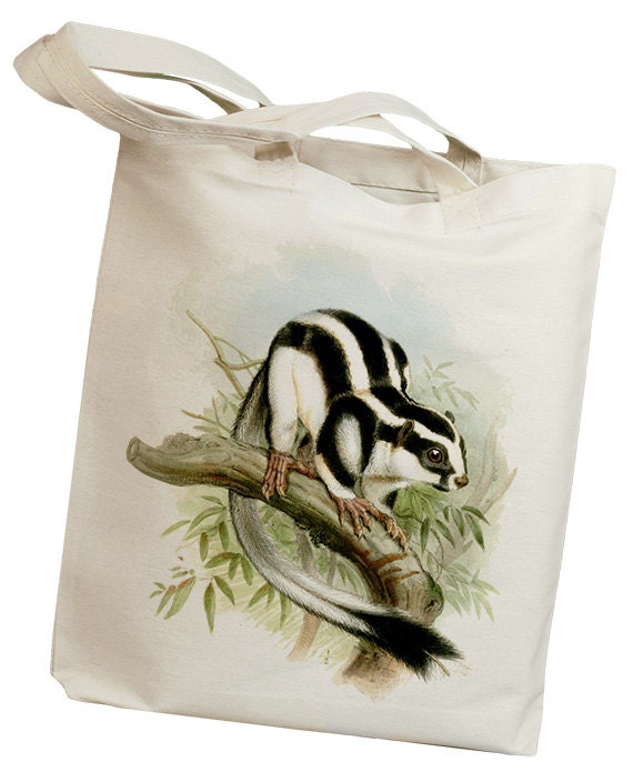 Squirrel Stripe Vintage Eco Friendly Canvas Tote Bag (id0162)