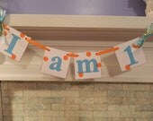 I am 1 Birthday Garland Smash Cake Banner Birthday Garland Party Decor First Birthday Photo Prop you Pick the Colors