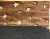 SandDrift Walnut Bed
