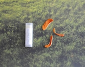 Grapefruit Citrus Tangerine Lip Balm - Shea Butter, Beeswax, Vitamin E, All Natural