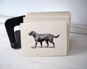 Labrador Retriever Cards - 5x7 Note Cards - Set of 6 - Black Lab Stationary - TerraDeiFarm