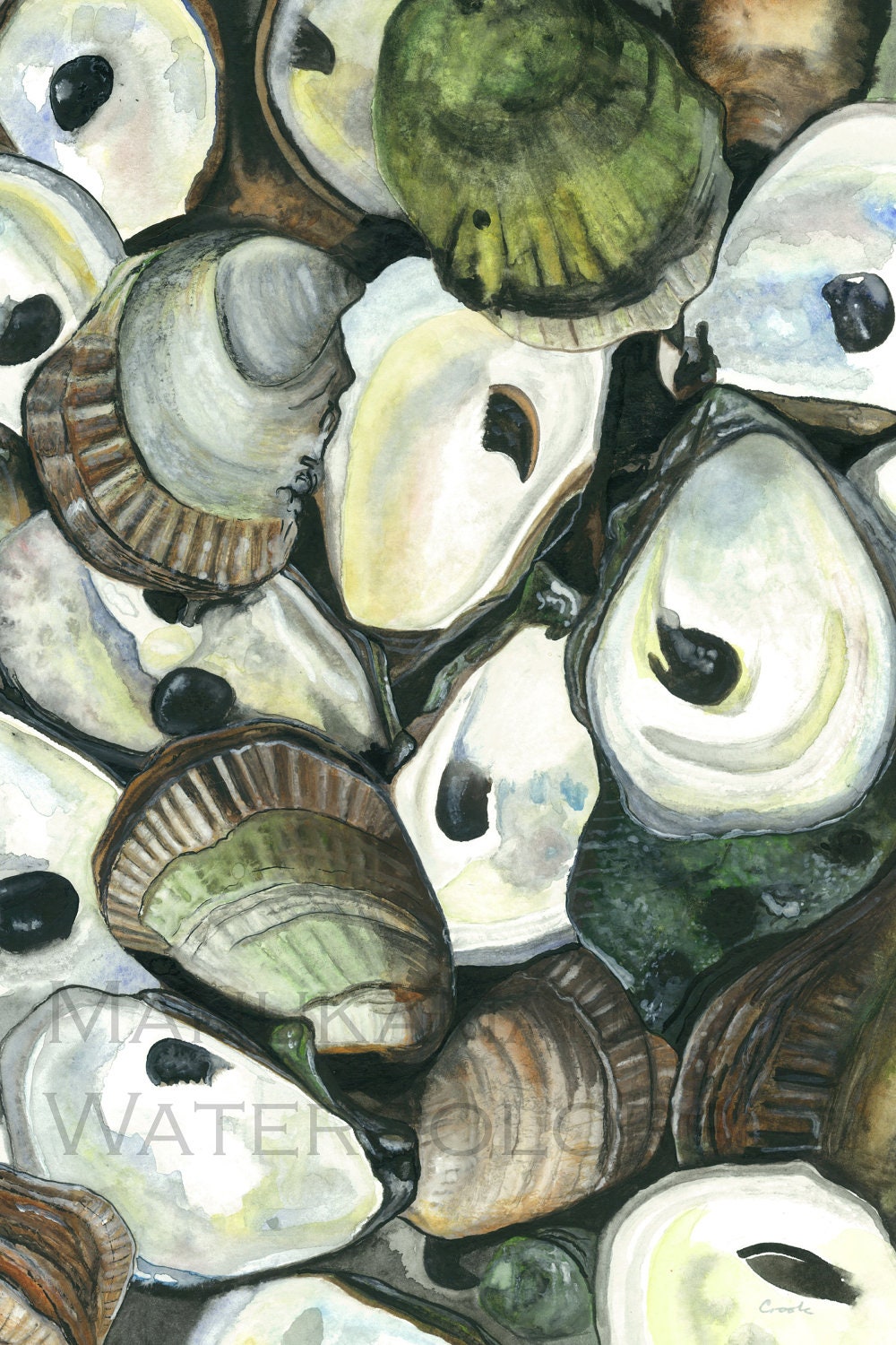 Print of Oyster watercolor painting by Damon Crook (11 x 14)