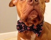 4th of July Stars Bow Tie or Flower