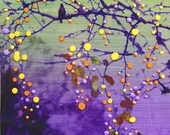 Amethyst Birdsong -  See the world new.