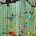 Birdsong - Green - Morning Mist Giclee Print - Introspection. Awakening to new possibilities.