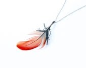 Red feather pendant