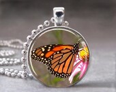 Photo Pendant, Art Pendant, Glass Dome Pendant, Monarch Butterfly Insect, no 999-29