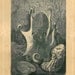 Musky Octopus Antique Art Print Natural History Engraving Eledone moschata Brehms Tierleben