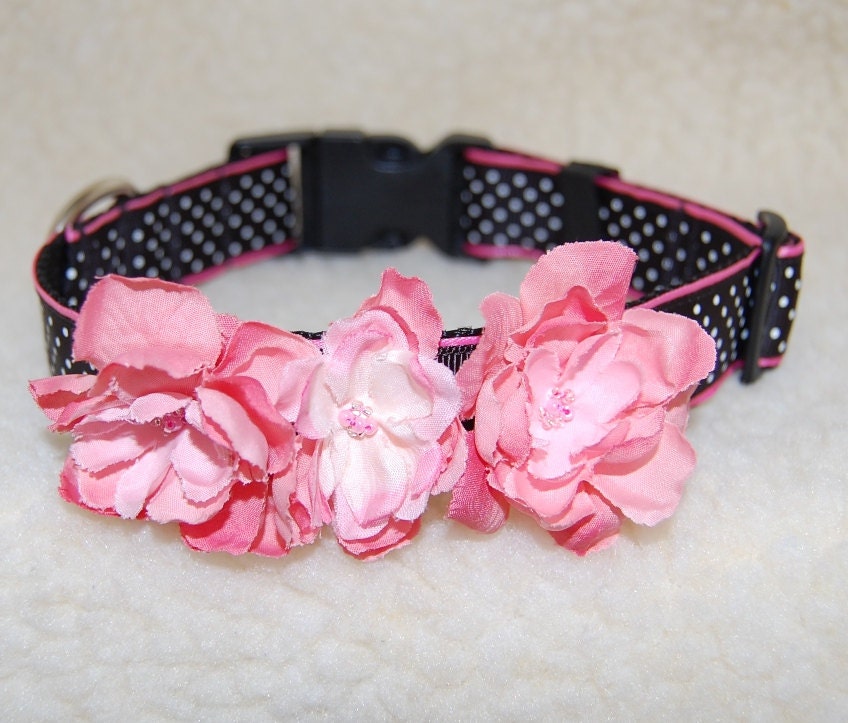 Dog Collar & Leash Set: Designer Black and White Polka Dot with Hand Beaded Pink Flowers