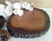 TREASURY ITEM - 10"  Rustic Oak Tree Slice - Rustic wedding decor -Home decor - Centerpiece - Photo Prop