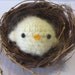 Make Your Own Baby Bird - PDF Crochet Pattern