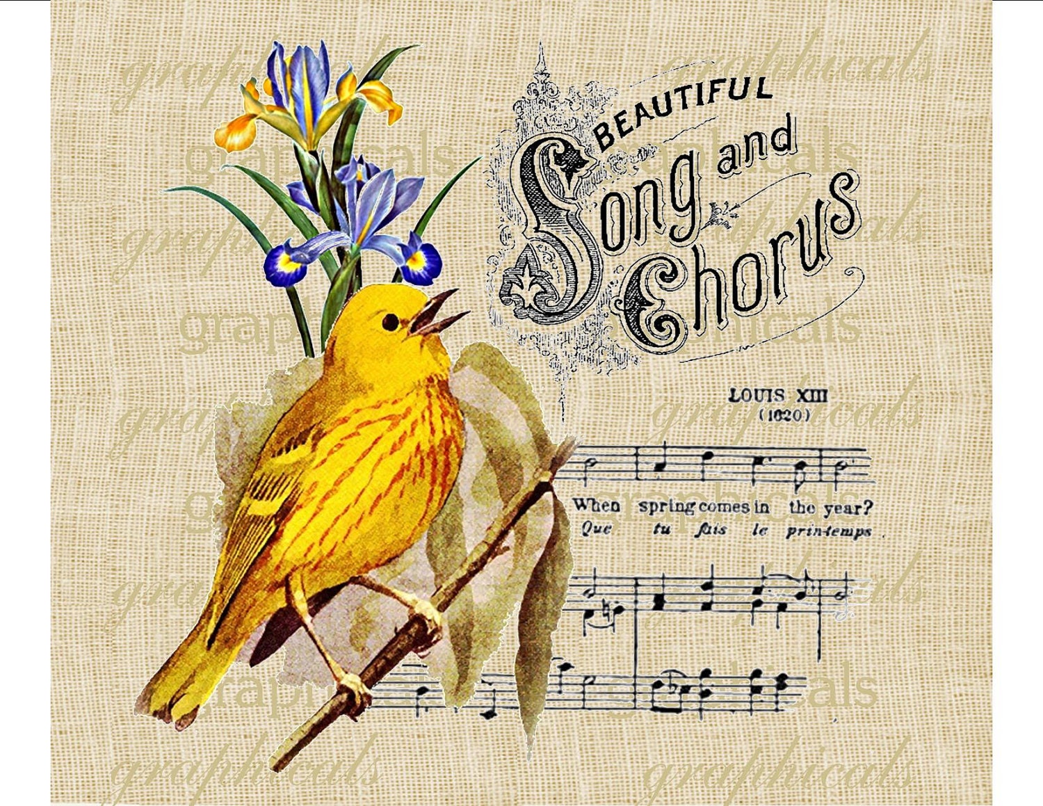 Vintage collage Beautiful song yellow bird flower French Digital download image for fabric transfer decoupage paper burlap pillows No. 526