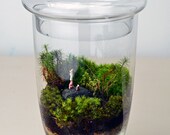 Moss Terrarium // Little People // Headstand // Apothecary Jar // Living Home Decor // Green Gift