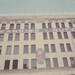 Candy Factory Candy Man Sugar Sweet Photo Art Print Purple Red Chocolate Cane Yummy (Version 2) - 8 x 12