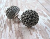 Grey mum earrings - charcoal gray flowers on titanium studs - NICKEL FREE for sensitive ears - LazyOwlBoutique