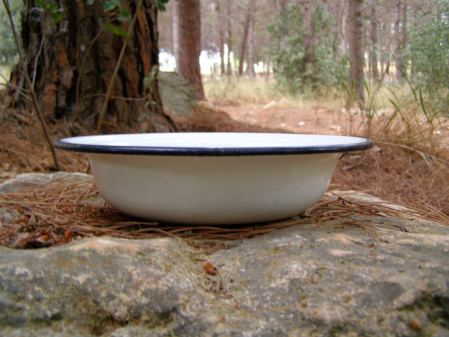 Farmhouse White Enamel Bowl, Small Soviet enamel soup bowl, Cottage Kitchenware, retro rustic bowl, vintage Planter, Autumn, Garden decor