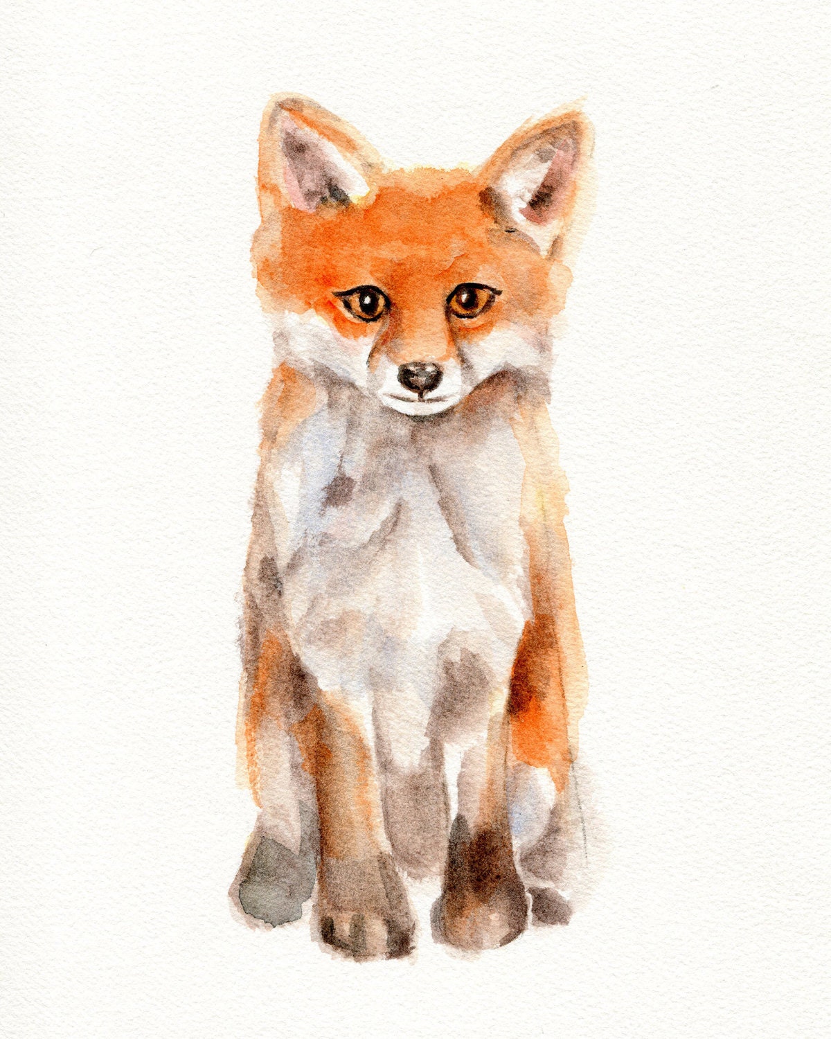 watercolor fox