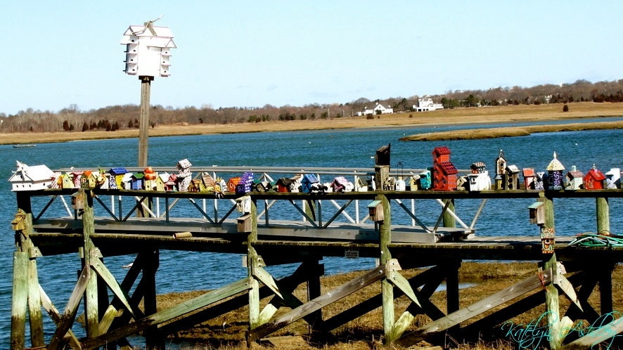 I Hope You Like Birds, Birdhouses on Dock Shoreline Photograph