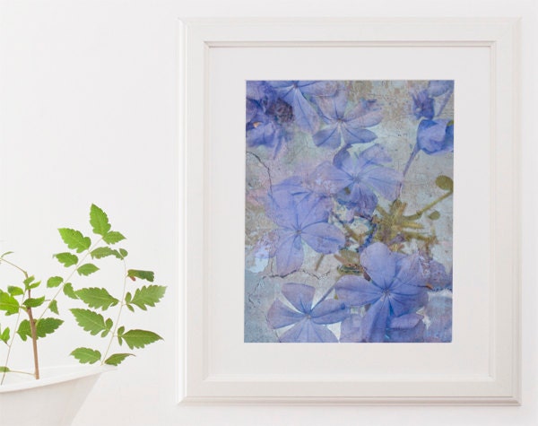Blue Flower Photo Print 8x10 Cottage chic decor whimsical floral mothers day gift