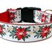 Christmas Dog Collar 1.5" Poinsettia Red Dog Collar