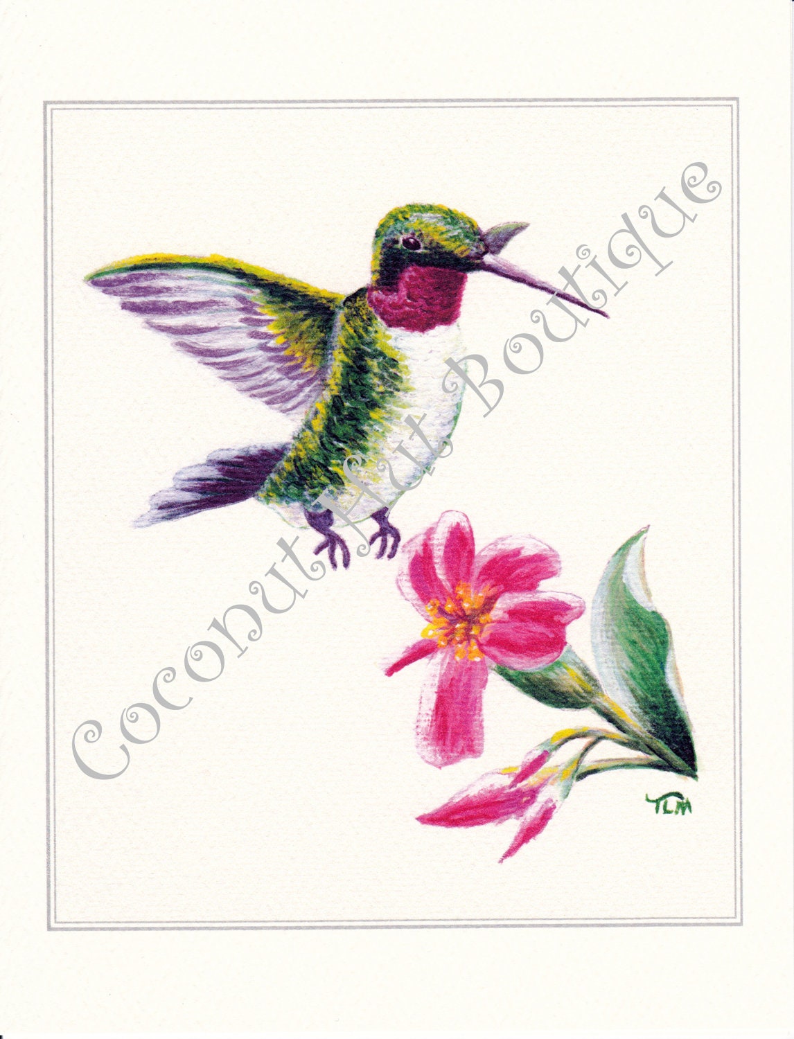 Bird Note Cards Greeting Cards Thank You Cards Blank Cards Stationary Original Art Print Ruby Throated Hummingbird Bird of Set 8 w Envelopes