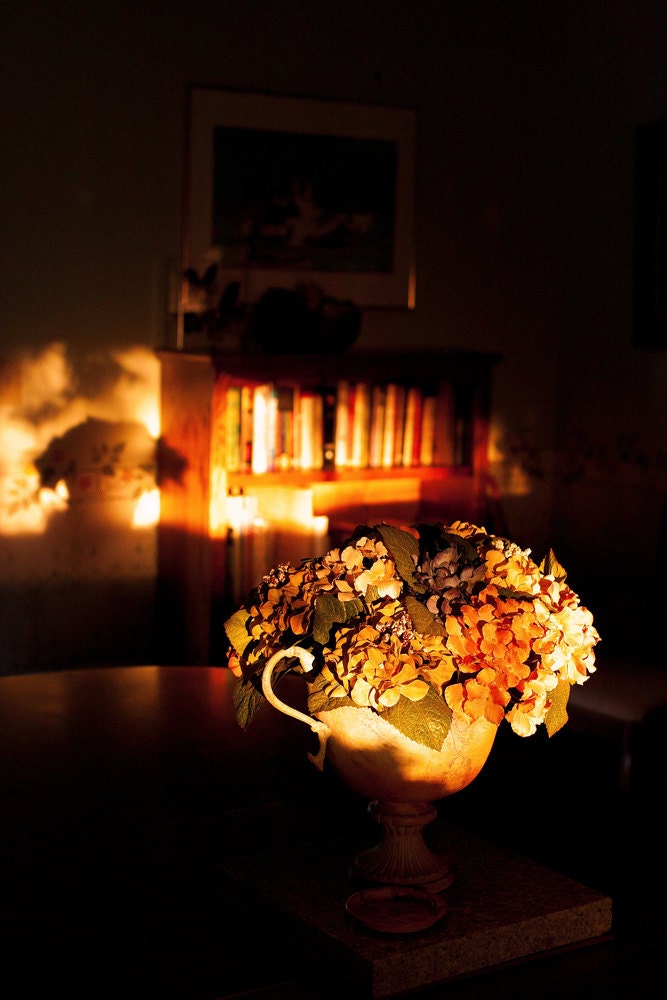 Still Life Flowers Fine Art Photograph - Chiaroscuro Light and Shadow - 12x18 Print