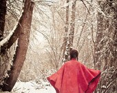 Red Riding Hood, Red, Winter, Snow, Nature, Woman