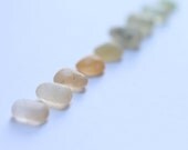 Sea Glass Collection in a Shadow Box - No.8