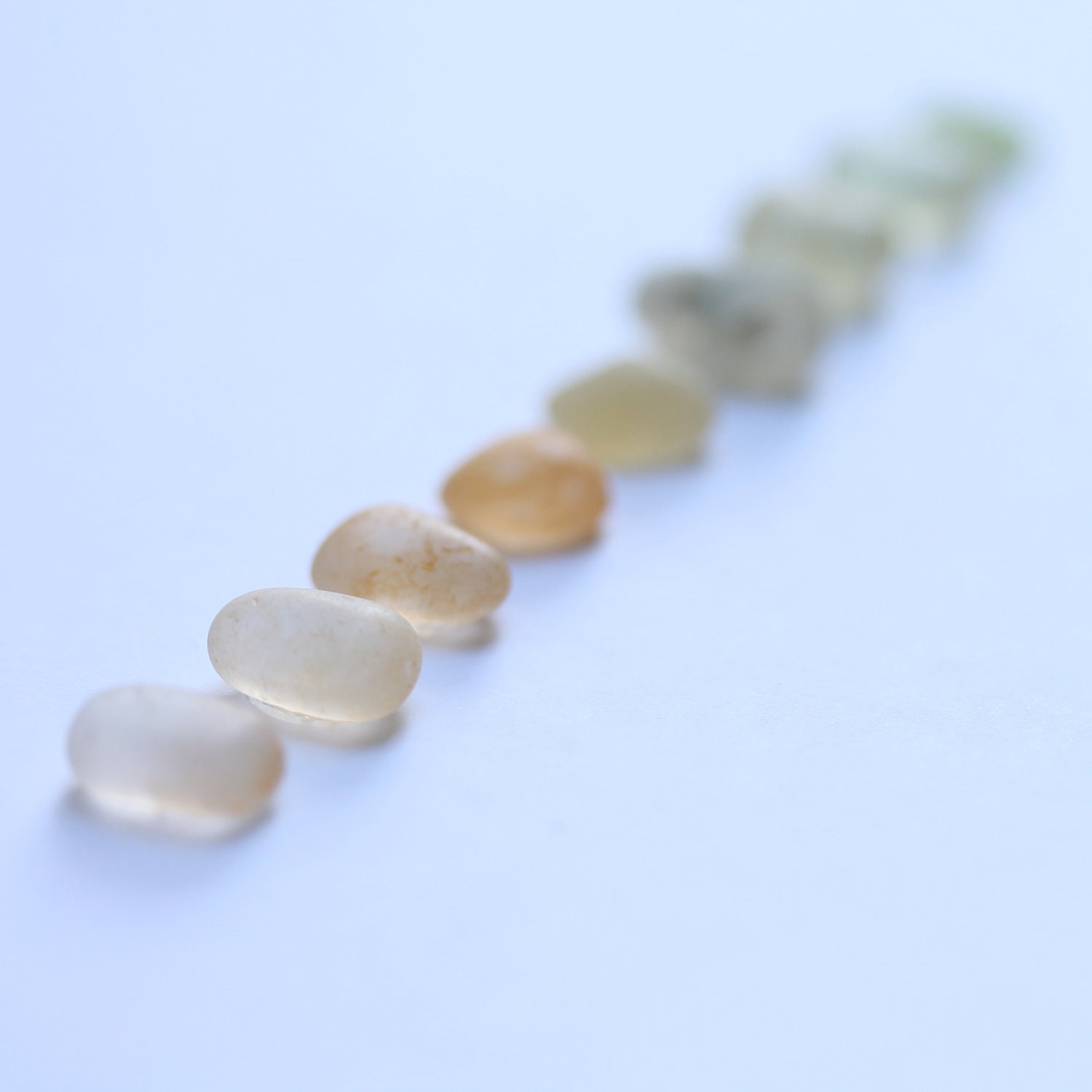 Sea Glass Collection in a Shadow Box - No.8