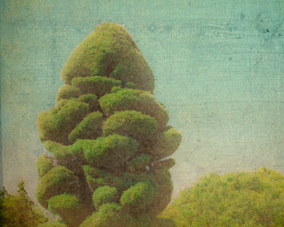 Tree Photography 8x10, Nature Wall Decor, Garden Photo, Topiary Bush Print, Surreal Photograph, Modern Gardening Print, Blue Green