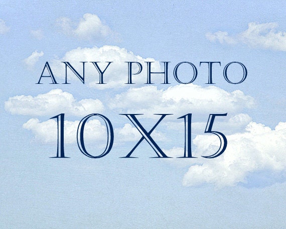 10x15 Nature Photography, Square Landscape print, Flower Photograph, Wildlife Print, Sunset Print