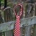 Toddler Boy Tie - Vintage Modern - Snickerdoodle in Candy Apple - Custom Sizes