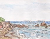 Original watercolor landscape framed painting, east sailboat and seagull 10.5x12