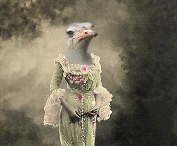Maya - Vintage Ostrich 5x7 Print - Anthropomorphic - Altered Photo - Gift Idea - Bird Art - Photo Collage Art - Whimsical Art