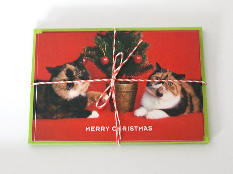 5-pack - Christmas card - Goma&Meme Family
