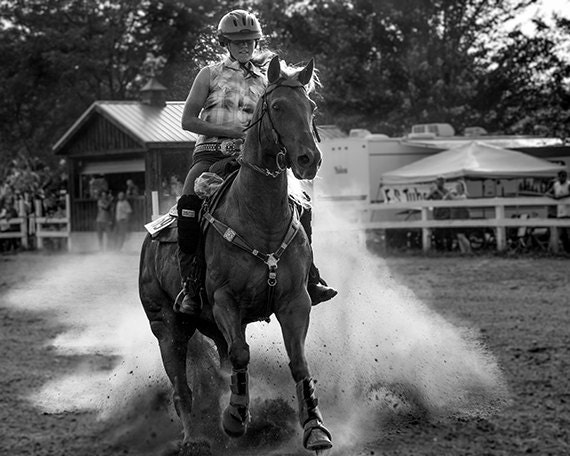 Horse photo, animal photography, county fair, rodeo, farm, nature - Kicking up Dust - 8x10 fine art photograph