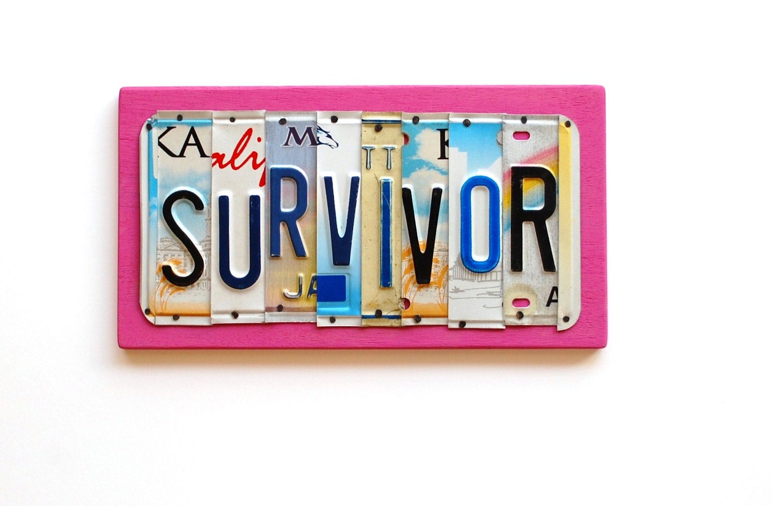 SURVIVOR, OOAK License Plate Art, Pink Custom Home Decor,Breast Cancer Awareness - UniquePl8z