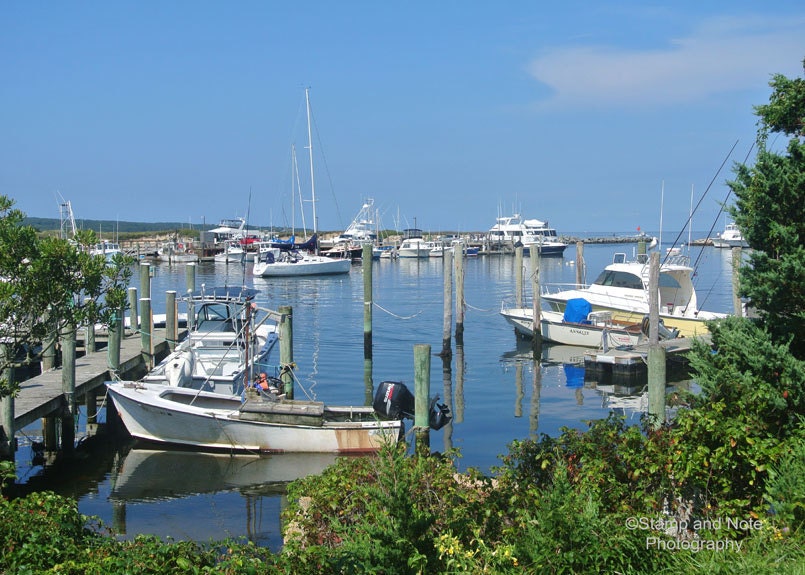 Martha's Vineyard Blank Photo Greeting Card & Postage Stamp Beach Plums and Boats New England Ocean  Fishermen Greeting Card