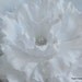 White Peony Flower Hair Clip Rhinestone Big Flower hair clip Flower Girls Hair accessory