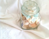 Vintage Glass Apothecary Jar with Seashells