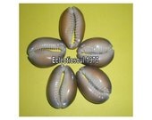 Tiger Shells Brown Cowrie Shells (10)