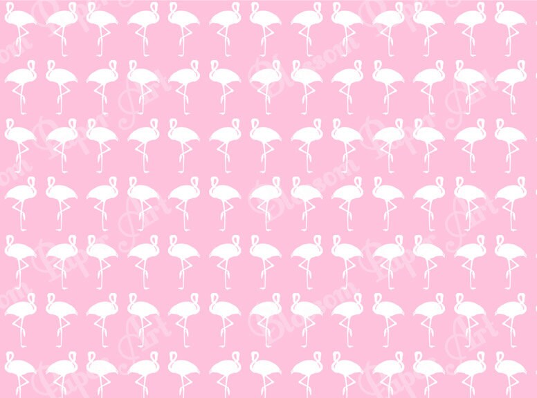Wrapping Paper Pink