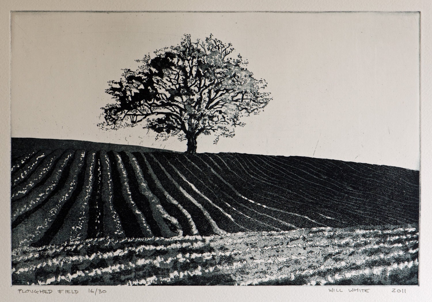 Etching Original - Ploughed Field Etching - Tree Etching Print