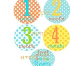 Baby Monthly Onesie Iron On  Transfers - Bright Happy Polka Dot Design Plus JUST Born No.100