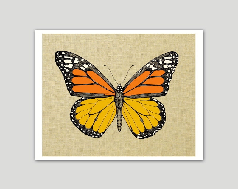 Butterfly Monarch Butterfly Art Print 8 x 10