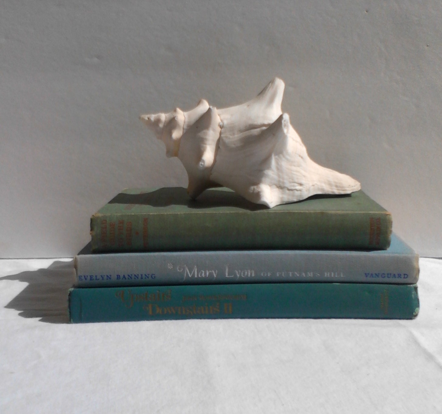 Vintage Blue Teal Green Book Collection Instant Library Cottage Chic Decor Shabby Chic